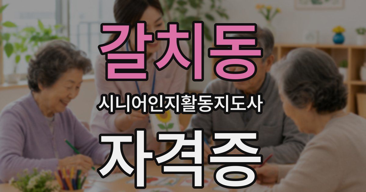 갈치동 시니어인지활동지도사 자격증
