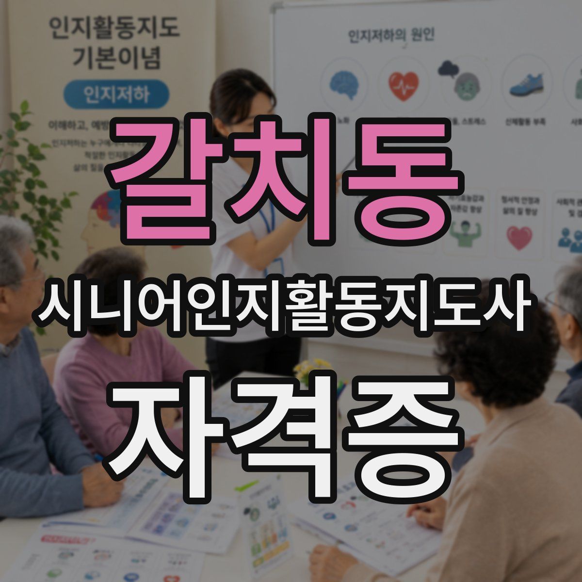 갈치동 시니어인지활동지도사 자격증
