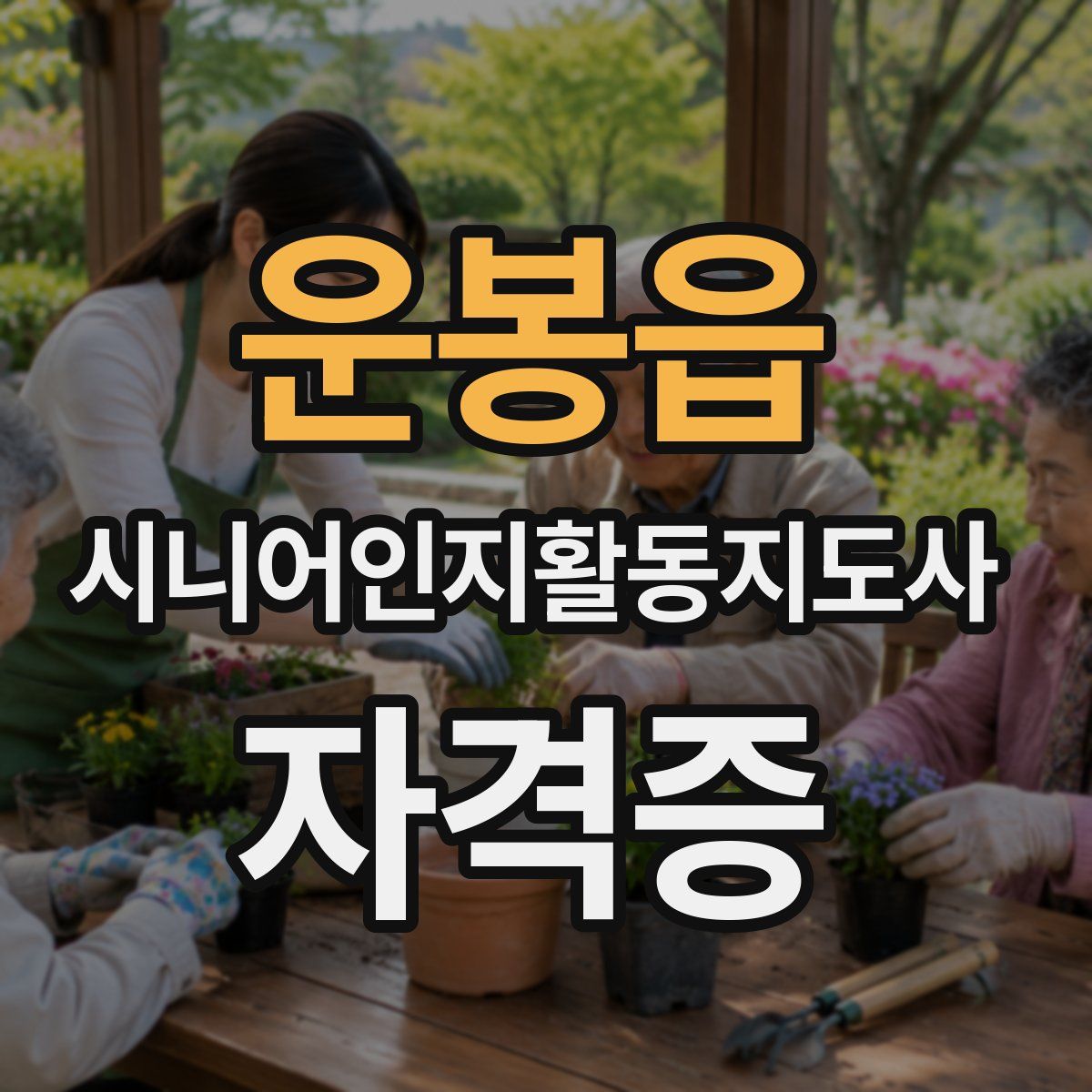 운봉읍 시니어인지활동지도사 자격증