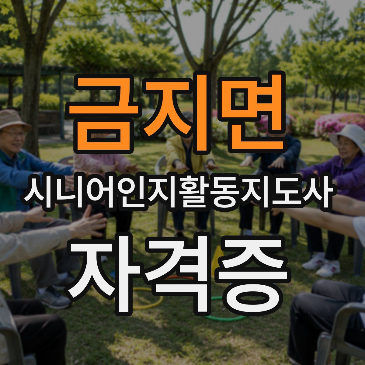 금지면 시니어인지활동지도사 자격증