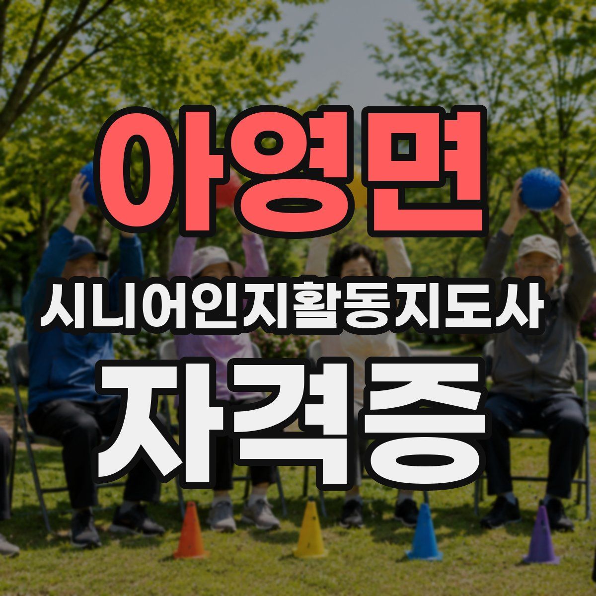 아영면 시니어인지활동지도사 자격증