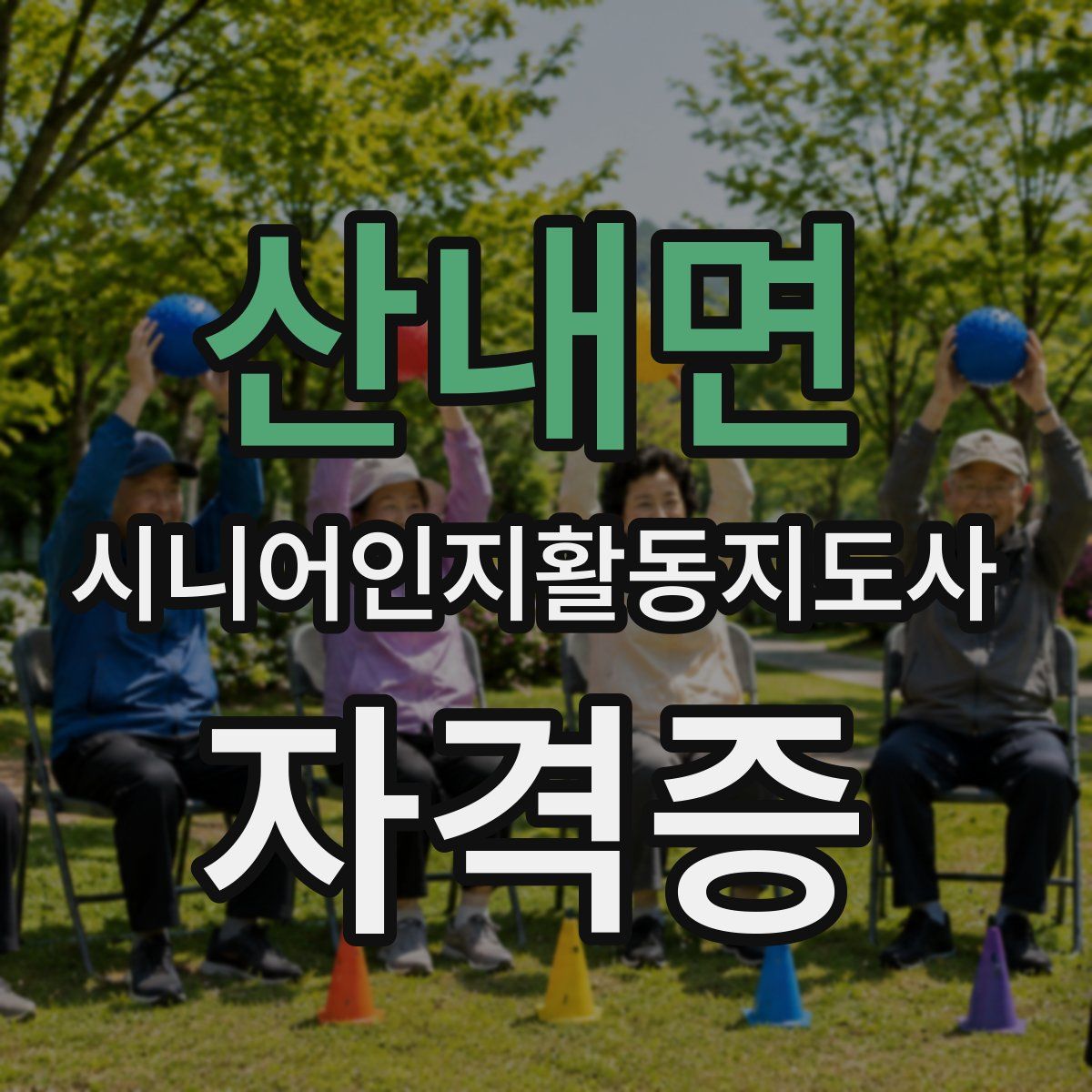 산내면 시니어인지활동지도사 자격증