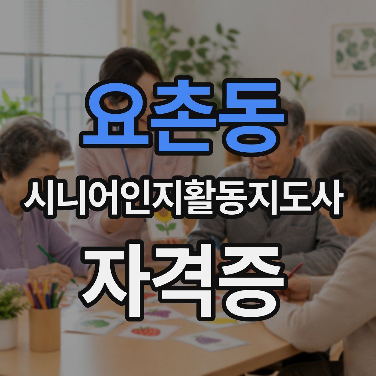 요촌동 시니어인지활동지도사 자격증