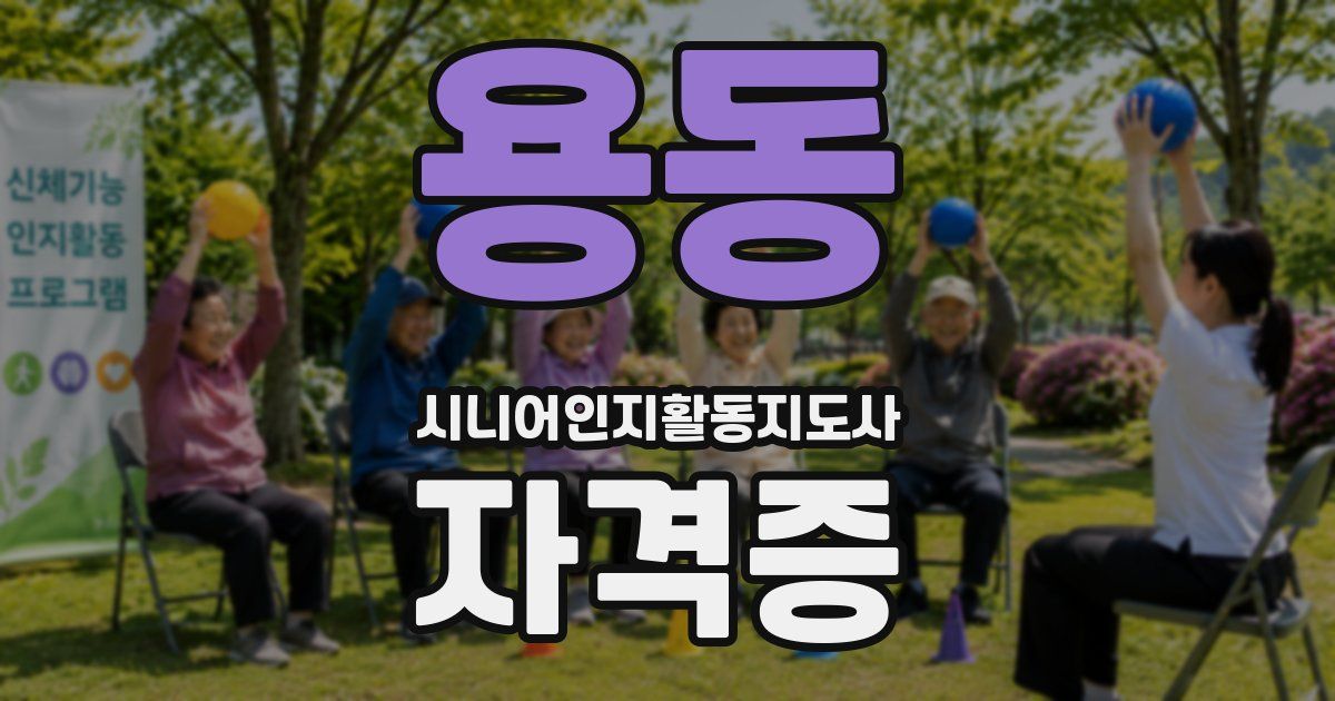 용동 시니어인지활동지도사 자격증