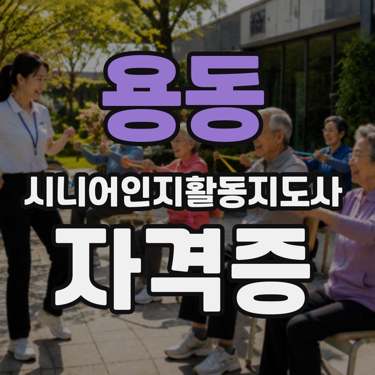 용동 시니어인지활동지도사 자격증