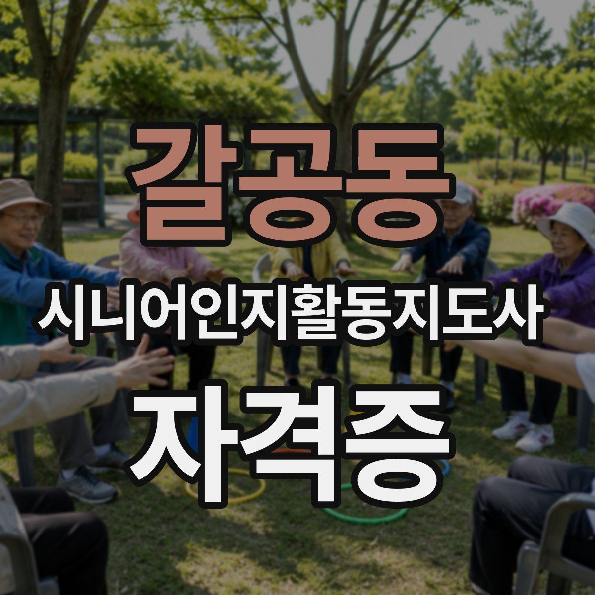 갈공동 시니어인지활동지도사 자격증