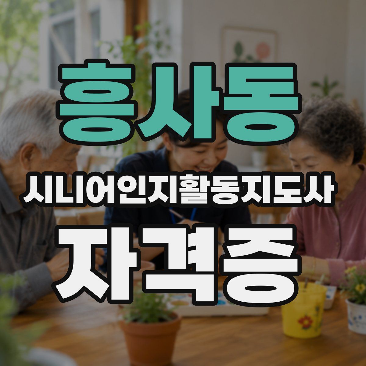 흥사동 시니어인지활동지도사 자격증