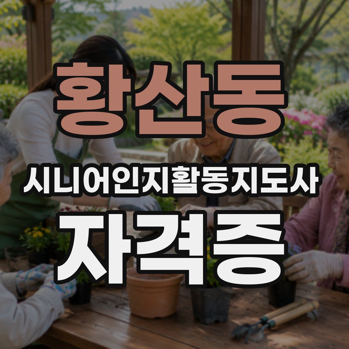 황산동 시니어인지활동지도사 자격증