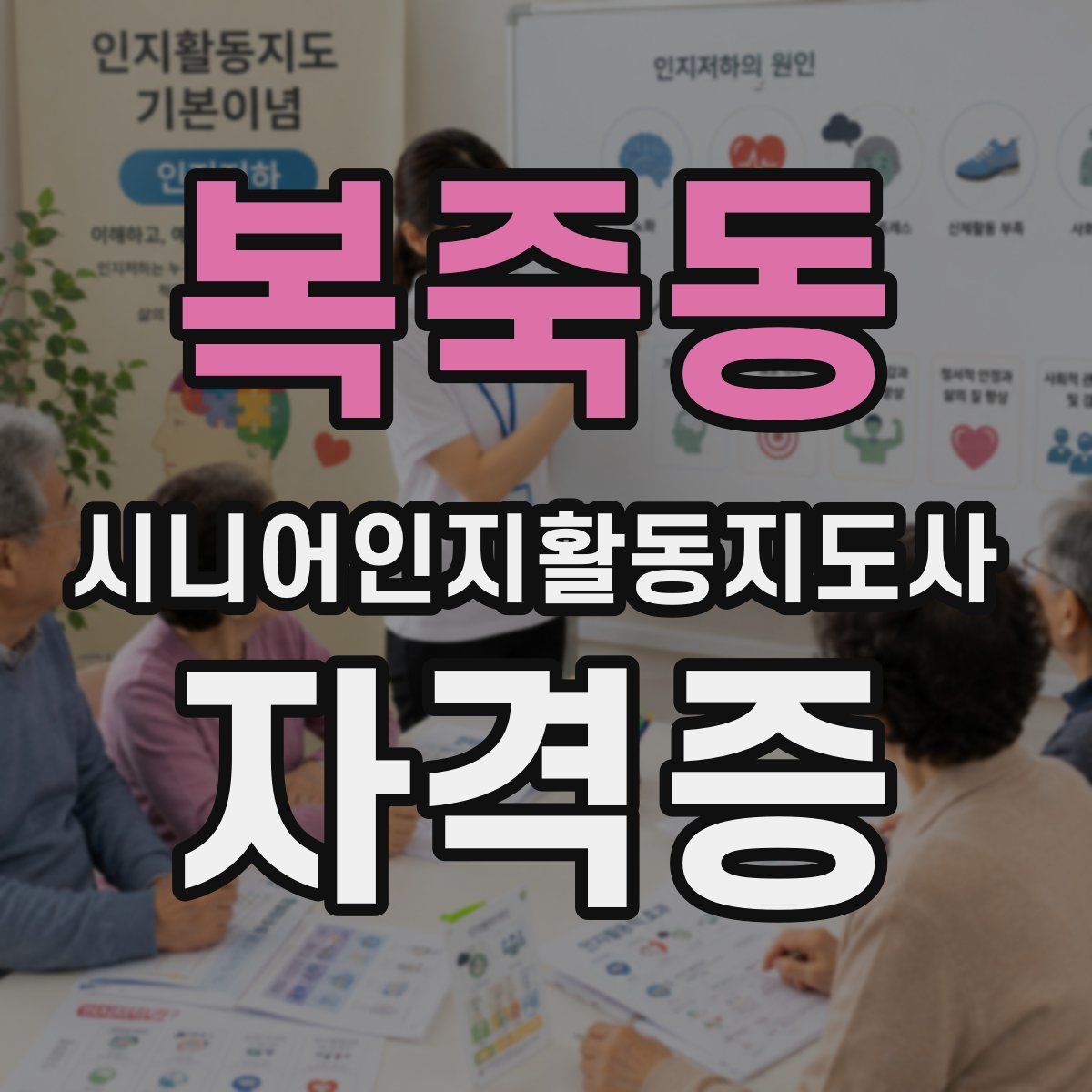 복죽동 시니어인지활동지도사 자격증