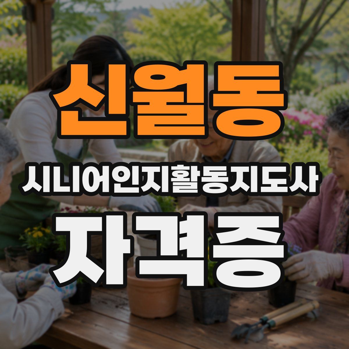 신월동 시니어인지활동지도사 자격증