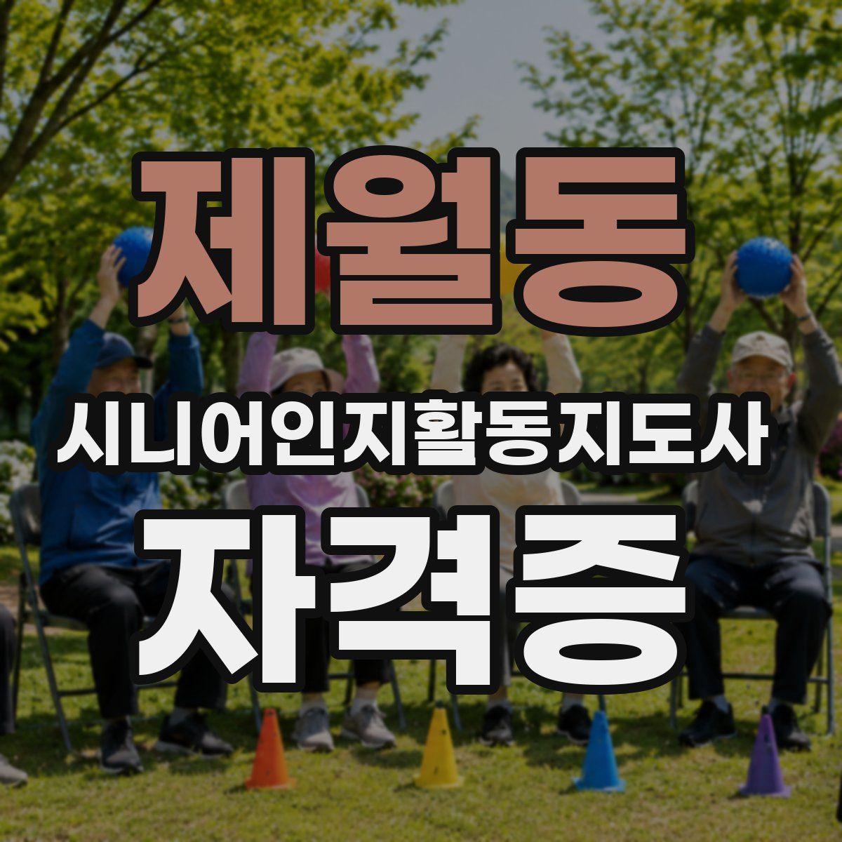 제월동 시니어인지활동지도사 자격증