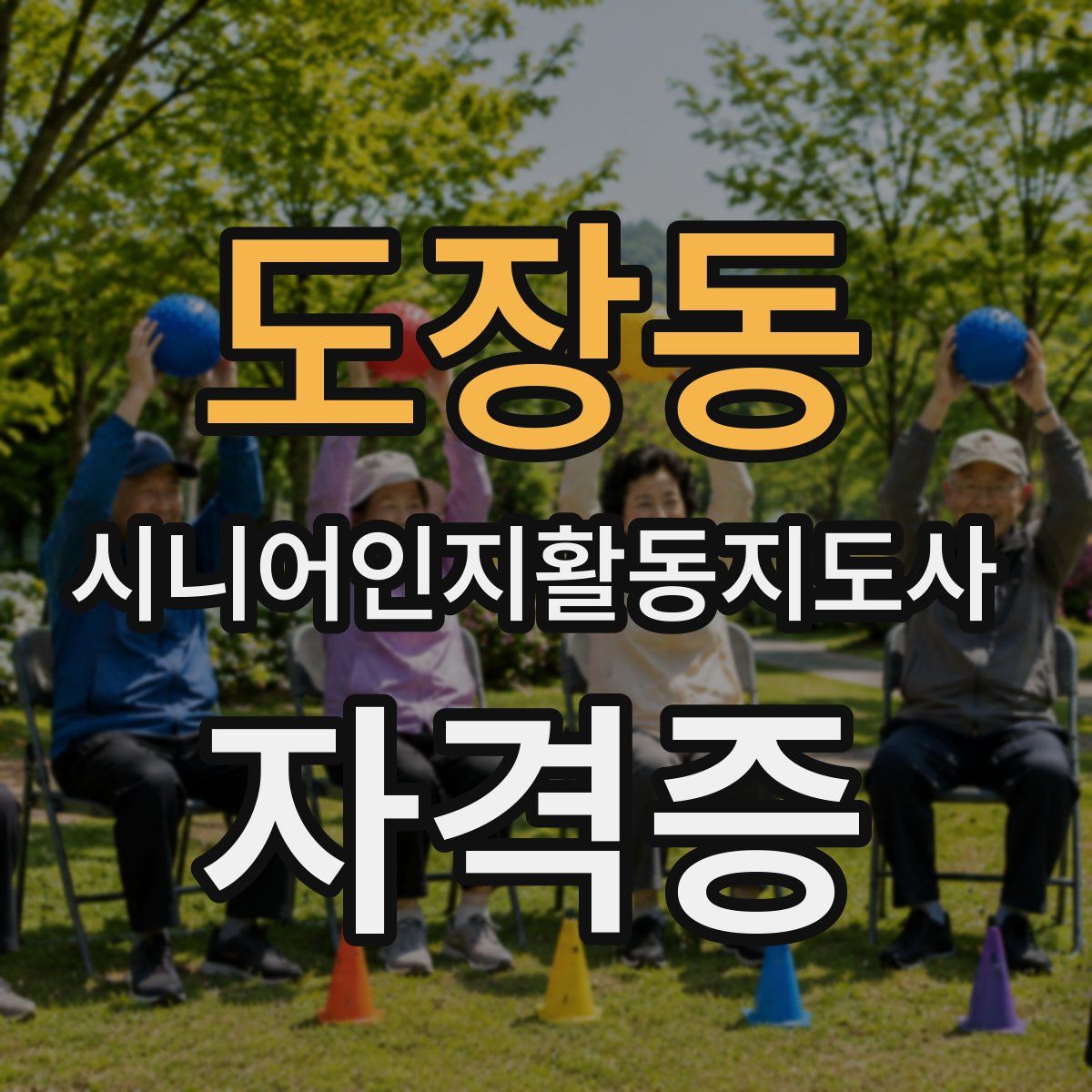 도장동 시니어인지활동지도사 자격증