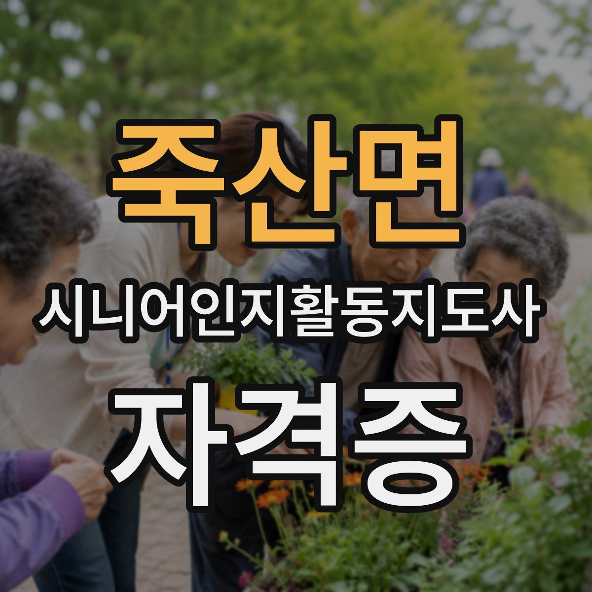 죽산면 시니어인지활동지도사 자격증