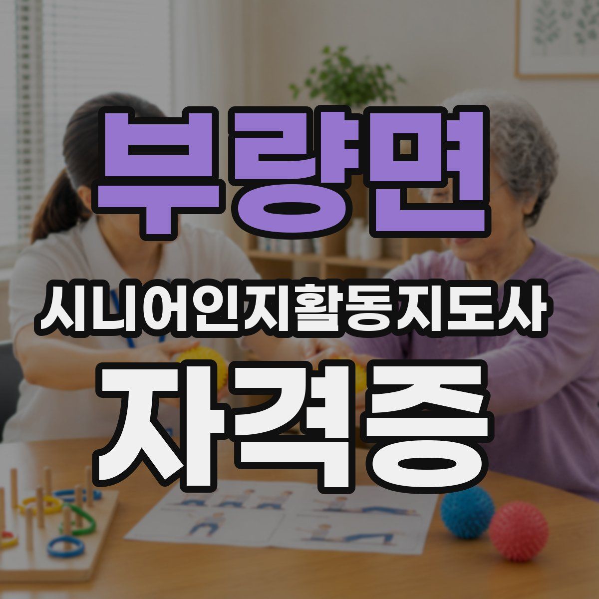 부량면 시니어인지활동지도사 자격증