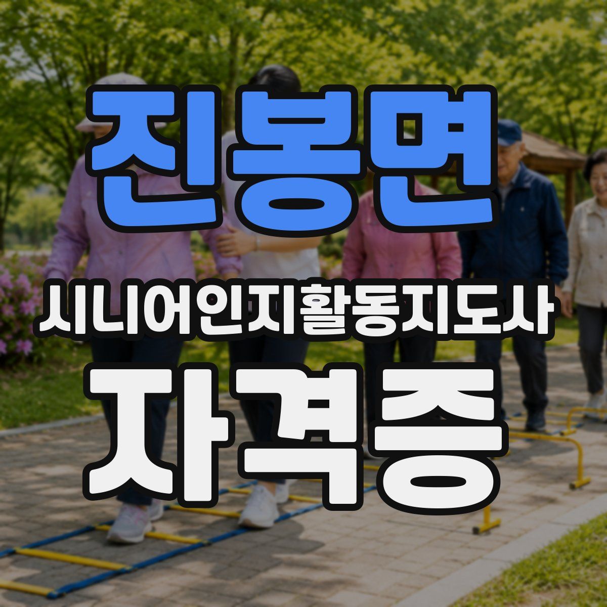 진봉면 시니어인지활동지도사 자격증