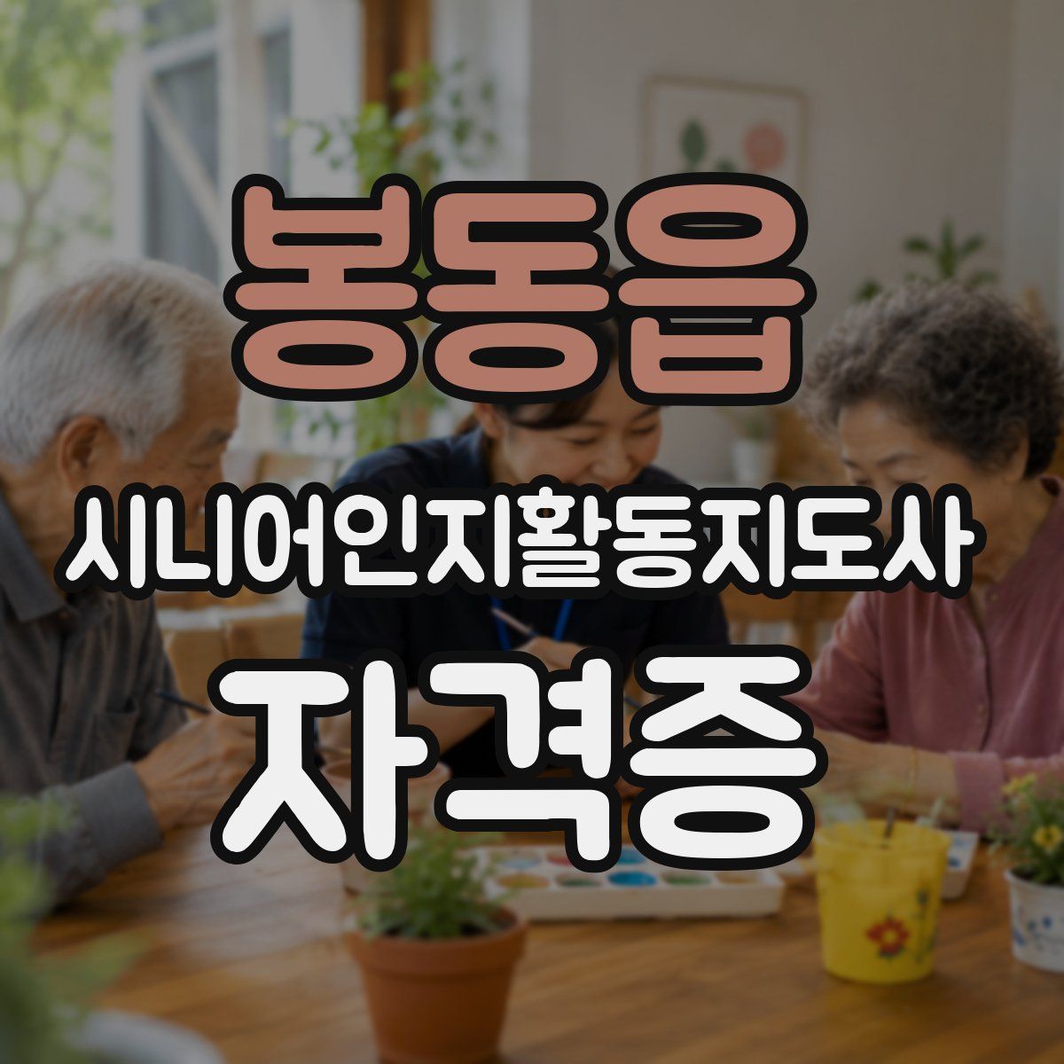 봉동읍 시니어인지활동지도사 자격증