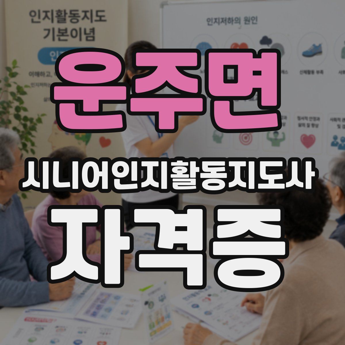 운주면 시니어인지활동지도사 자격증