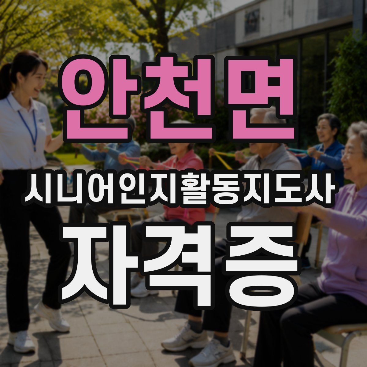 안천면 시니어인지활동지도사 자격증