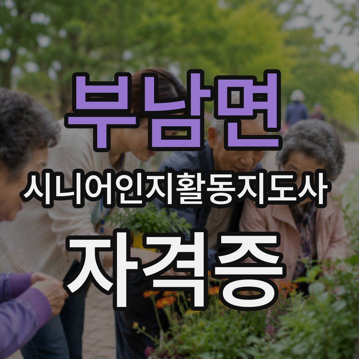 부남면 시니어인지활동지도사 자격증