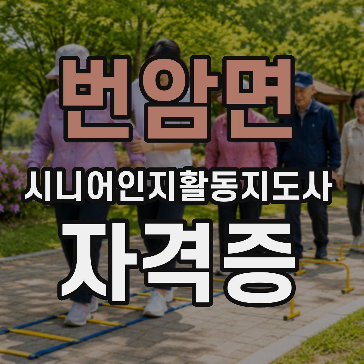 번암면 시니어인지활동지도사 자격증