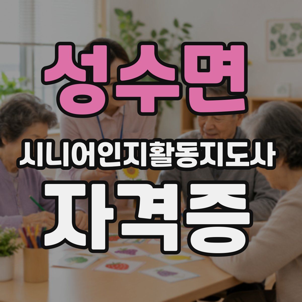 성수면 시니어인지활동지도사 자격증