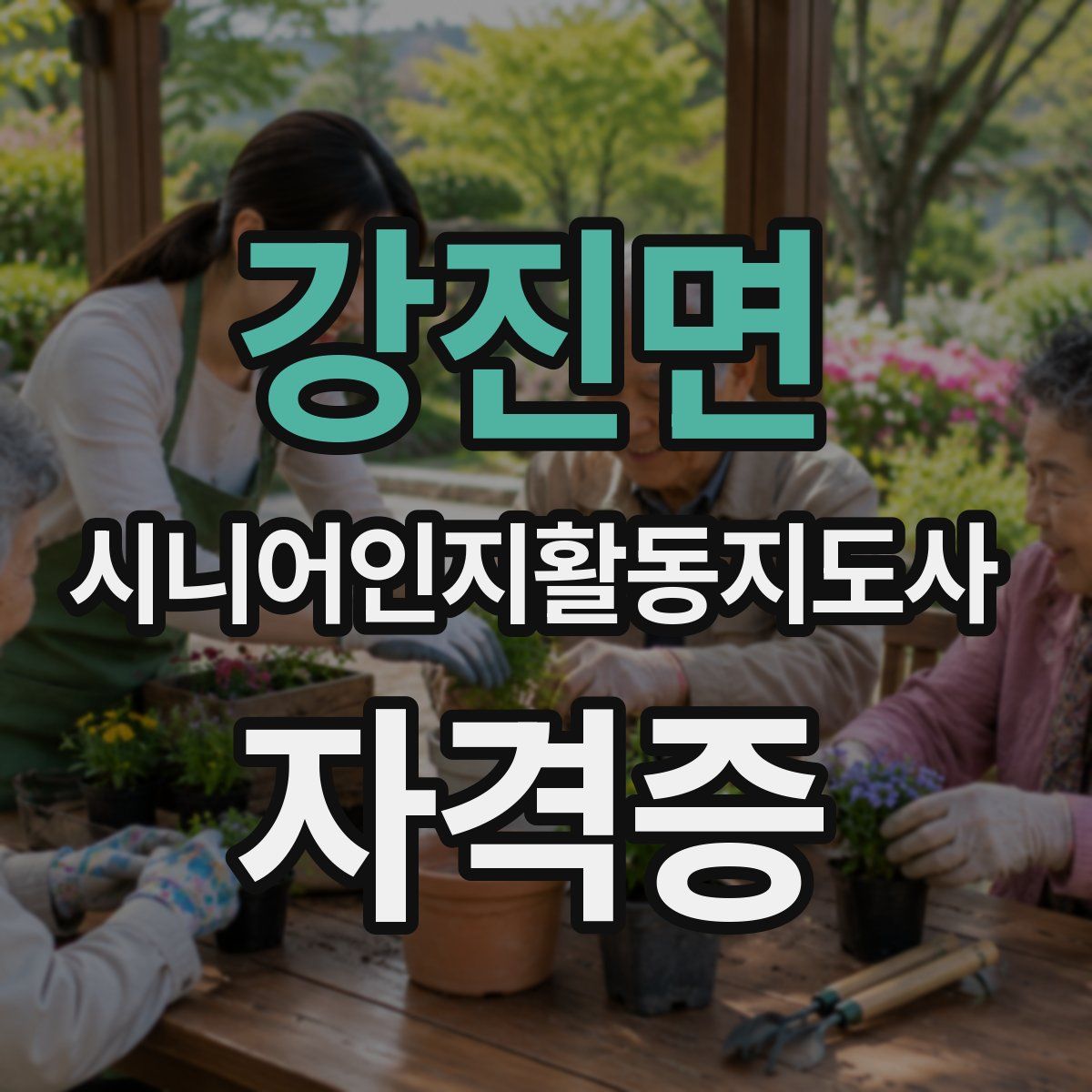 강진면 시니어인지활동지도사 자격증