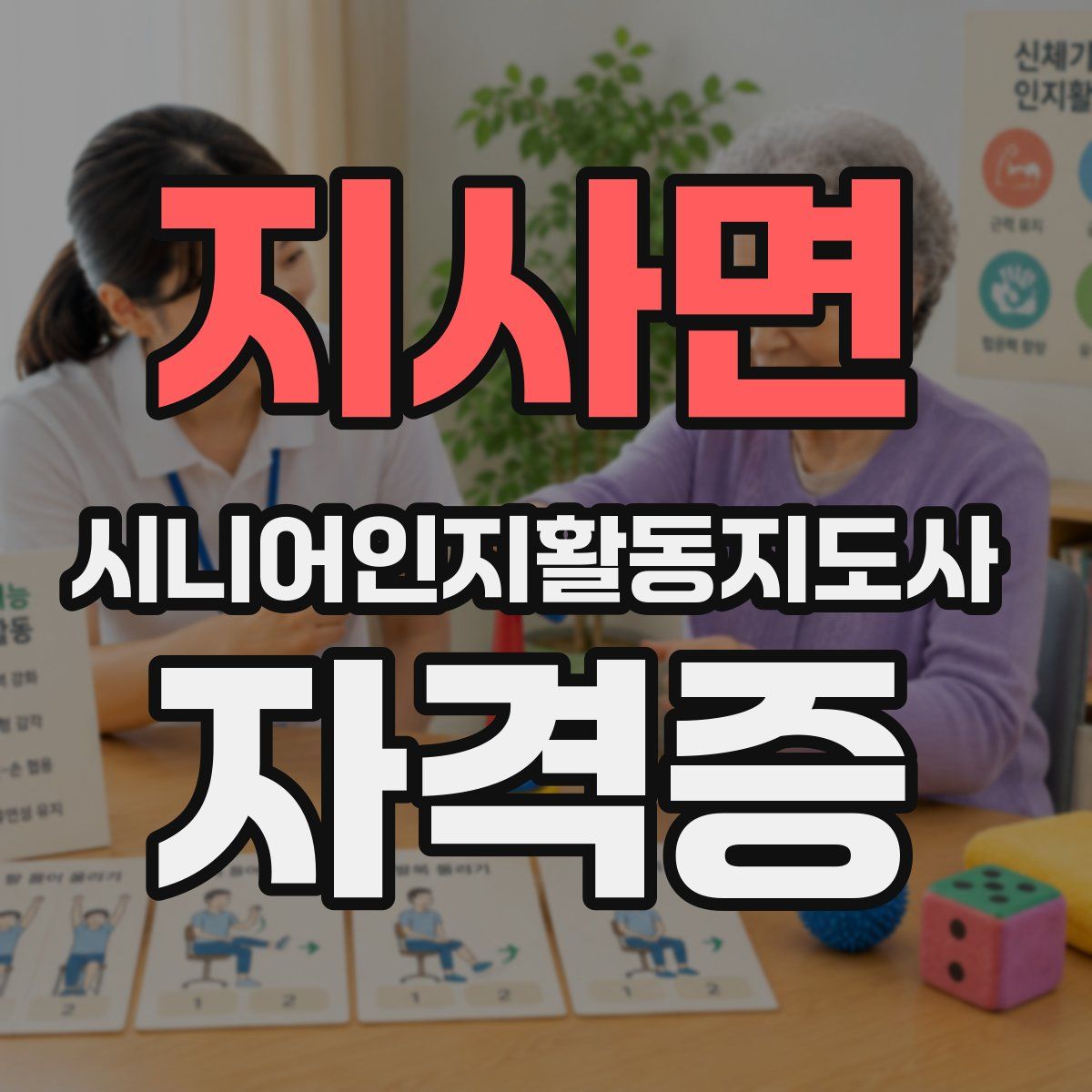 지사면 시니어인지활동지도사 자격증