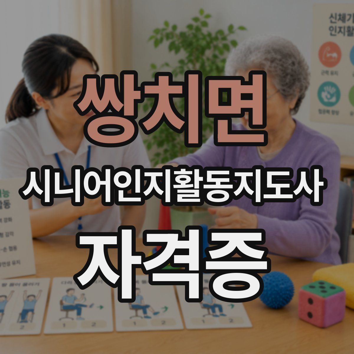쌍치면 시니어인지활동지도사 자격증