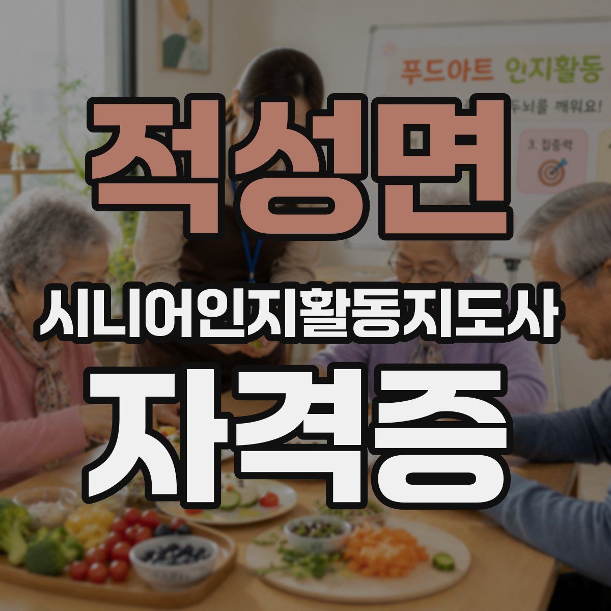 적성면 시니어인지활동지도사 자격증