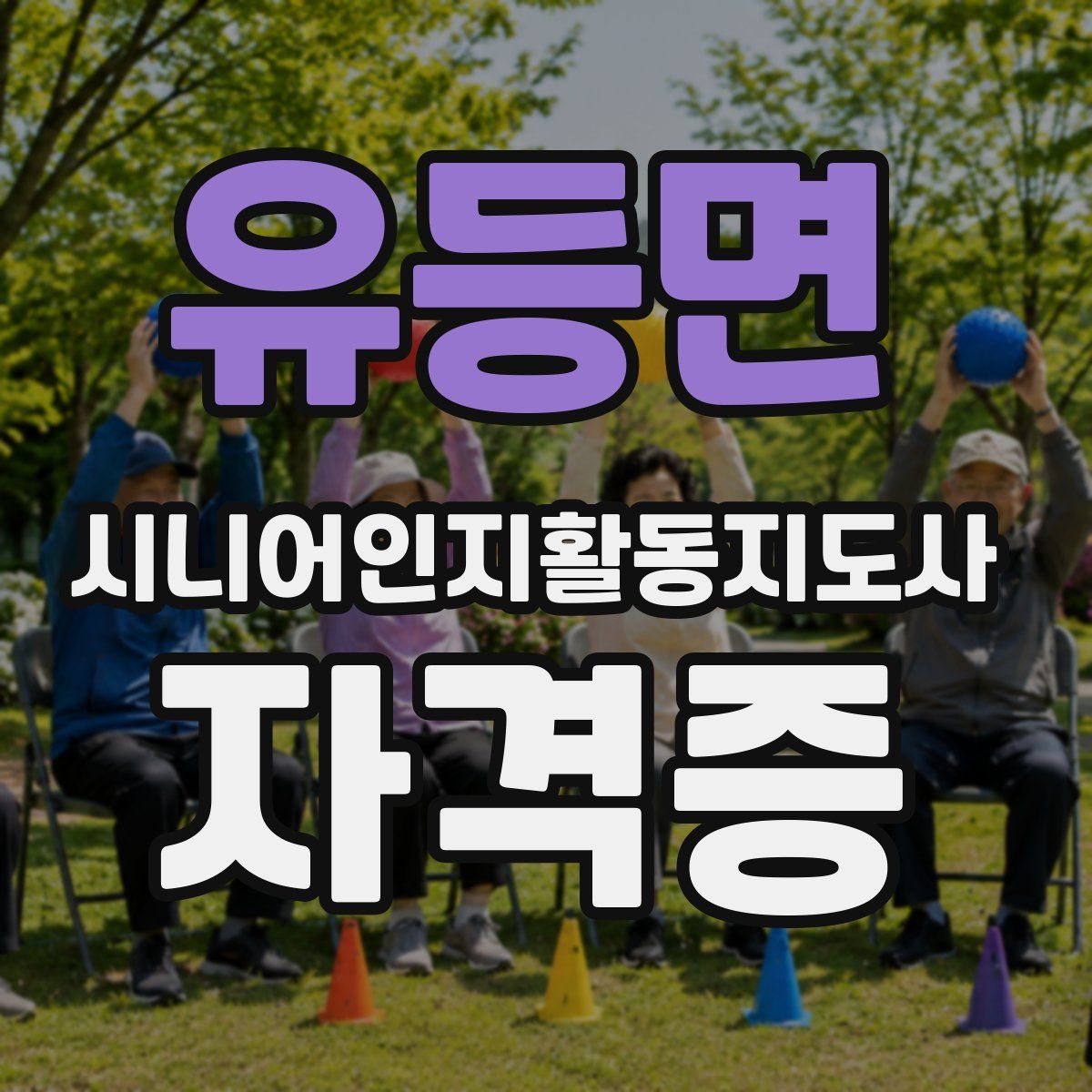유등면 시니어인지활동지도사 자격증