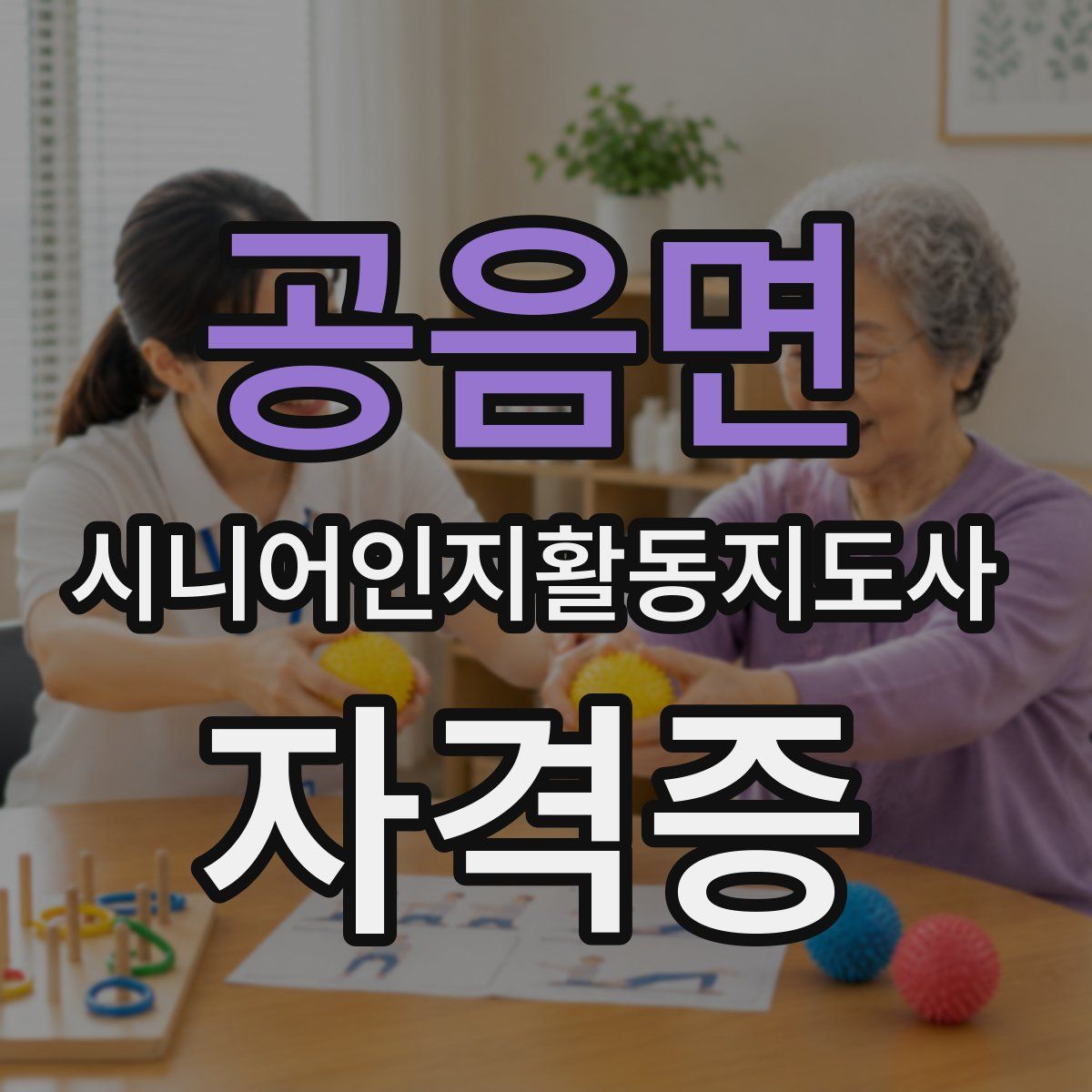 공음면 시니어인지활동지도사 자격증
