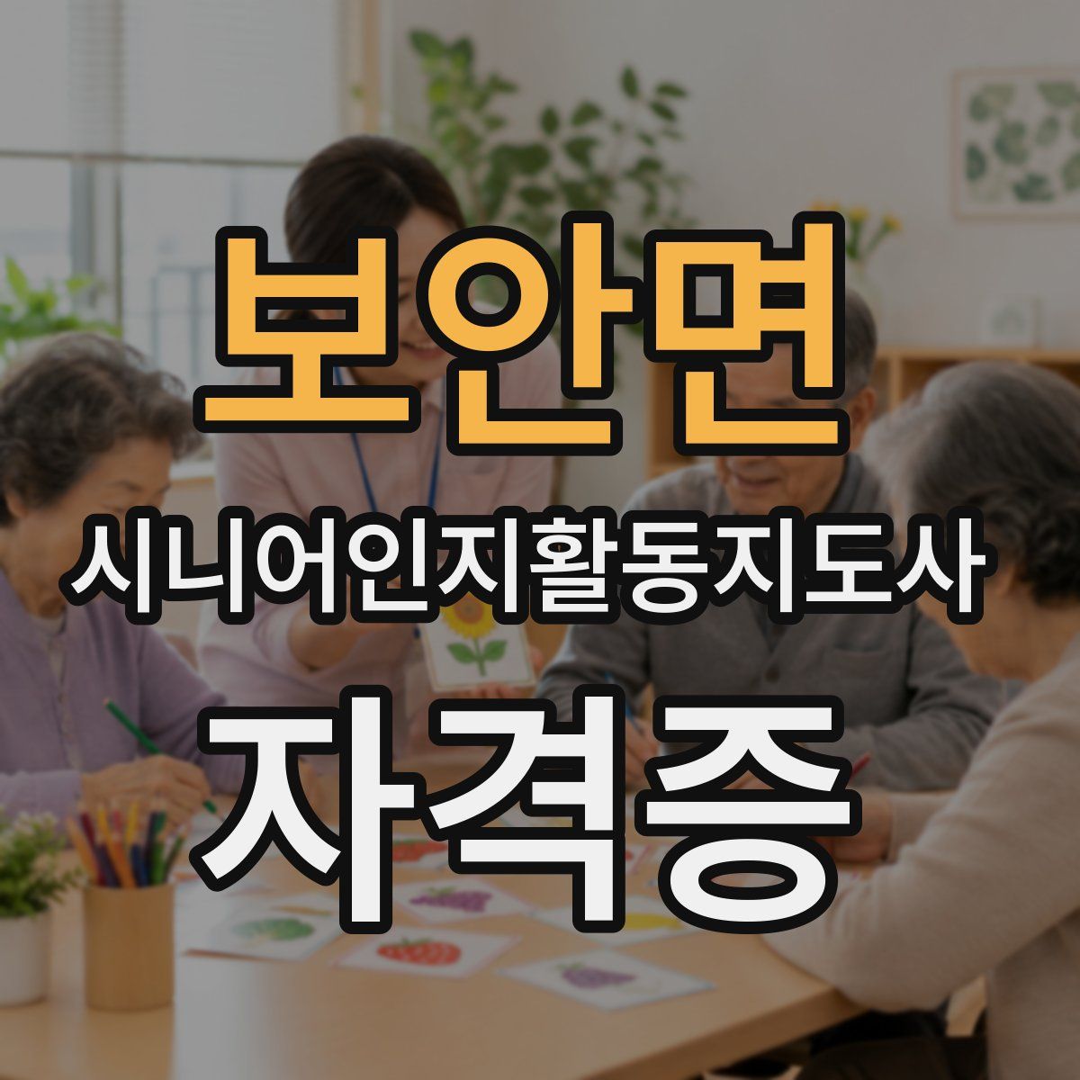 보안면 시니어인지활동지도사 자격증