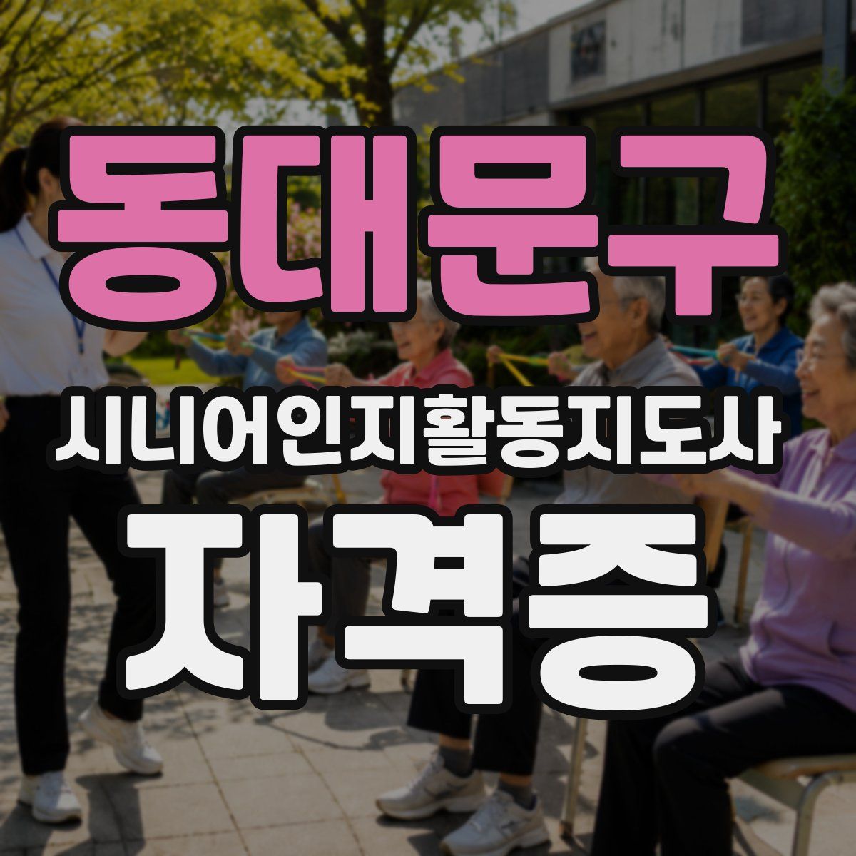 동대문구 시니어인지활동지도사 자격증