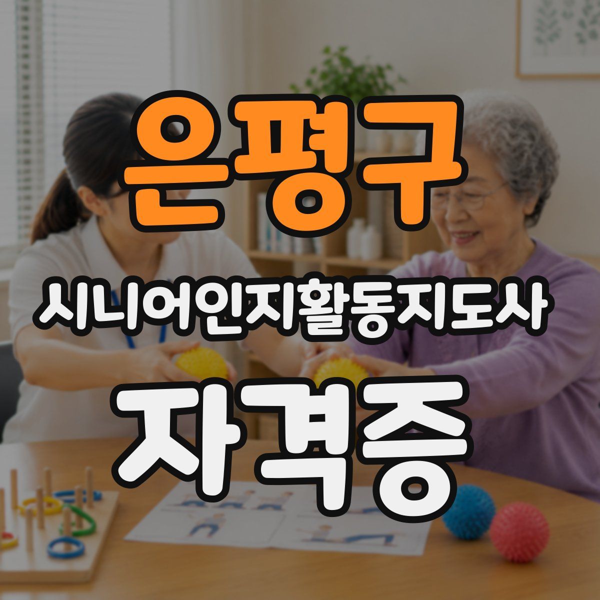 은평구 시니어인지활동지도사 자격증