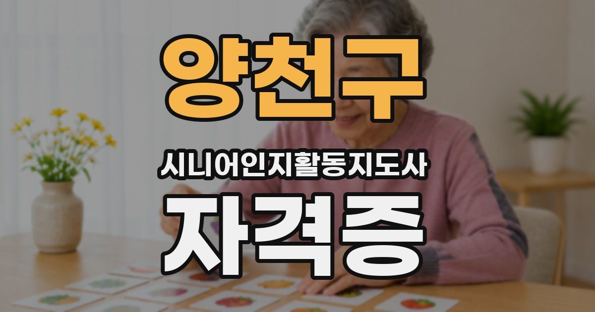 양천구 시니어인지활동지도사 자격증