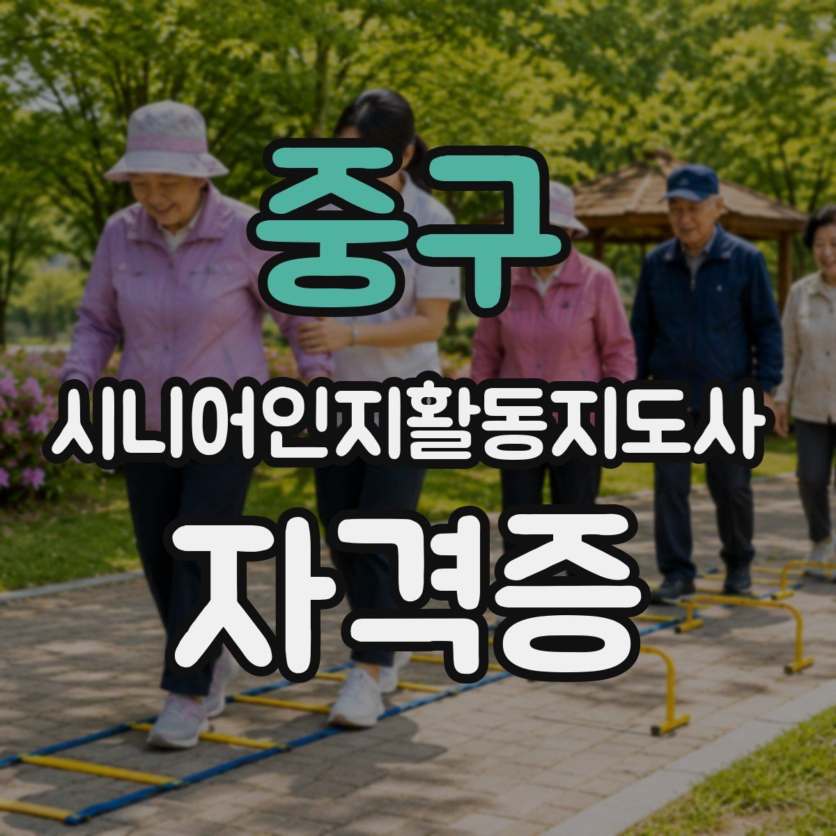 중구 시니어인지활동지도사 자격증