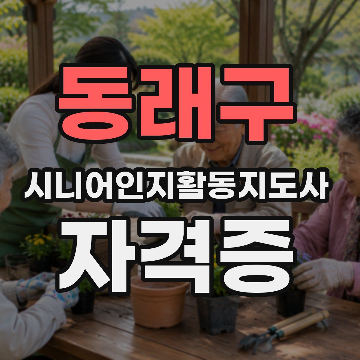 동래구 시니어인지활동지도사 자격증