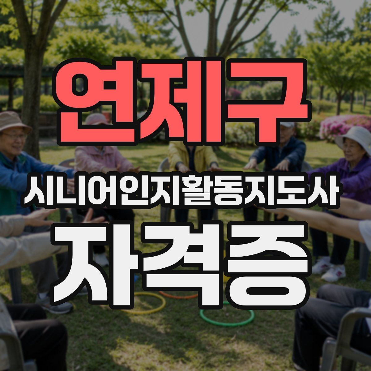 연제구 시니어인지활동지도사 자격증
