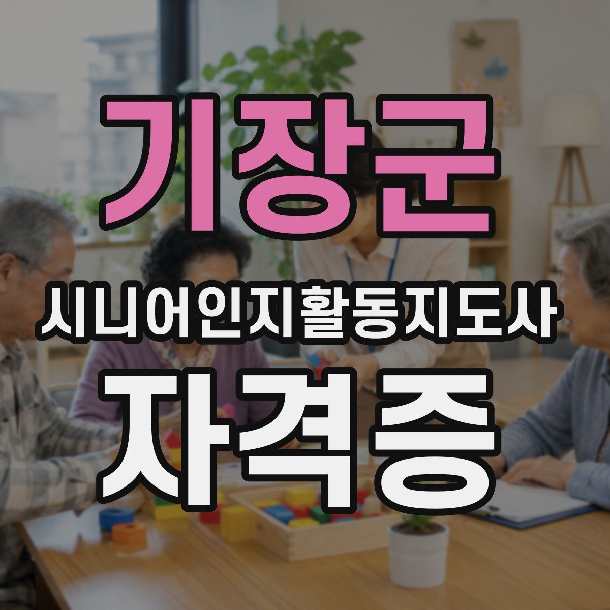 기장군 시니어인지활동지도사 자격증