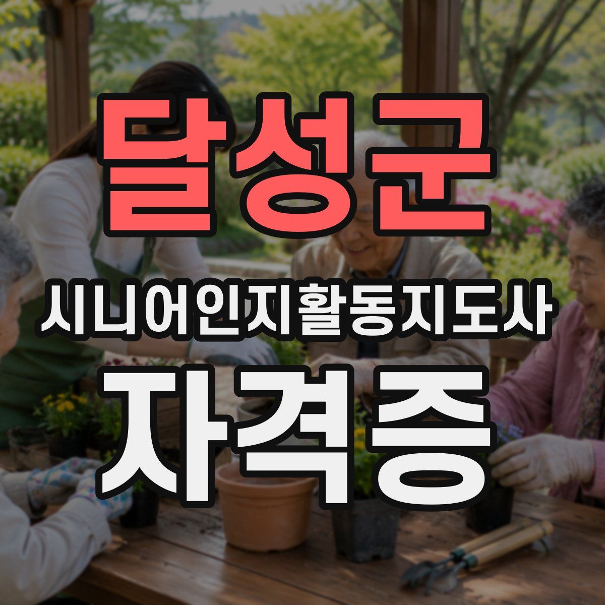 달성군 시니어인지활동지도사 자격증