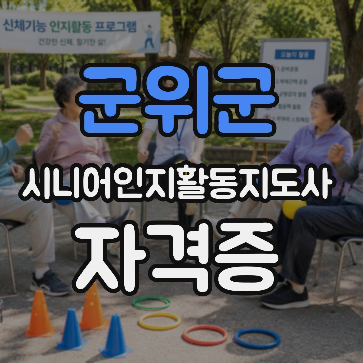 군위군 시니어인지활동지도사 자격증