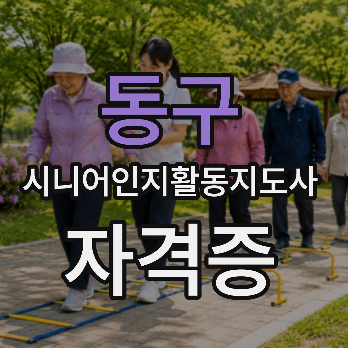 동구 시니어인지활동지도사 자격증