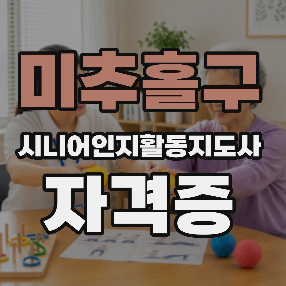 미추홀구 시니어인지활동지도사 자격증