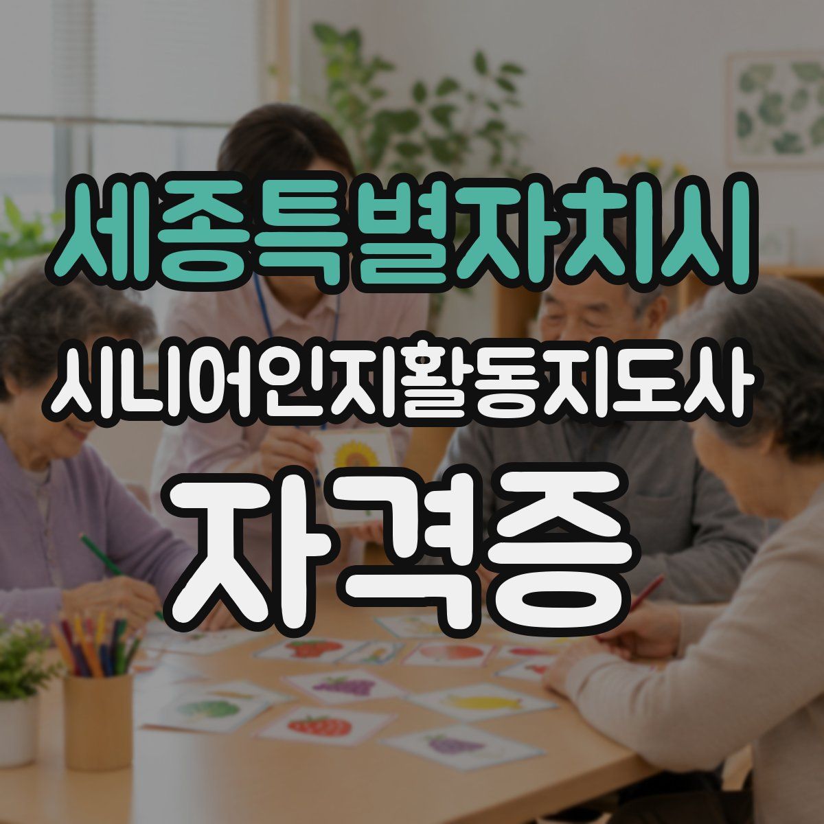 세종특별자치시 시니어인지활동지도사 자격증