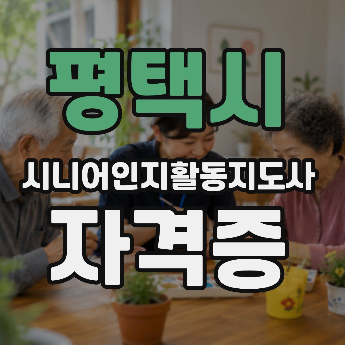 평택시 시니어인지활동지도사 자격증