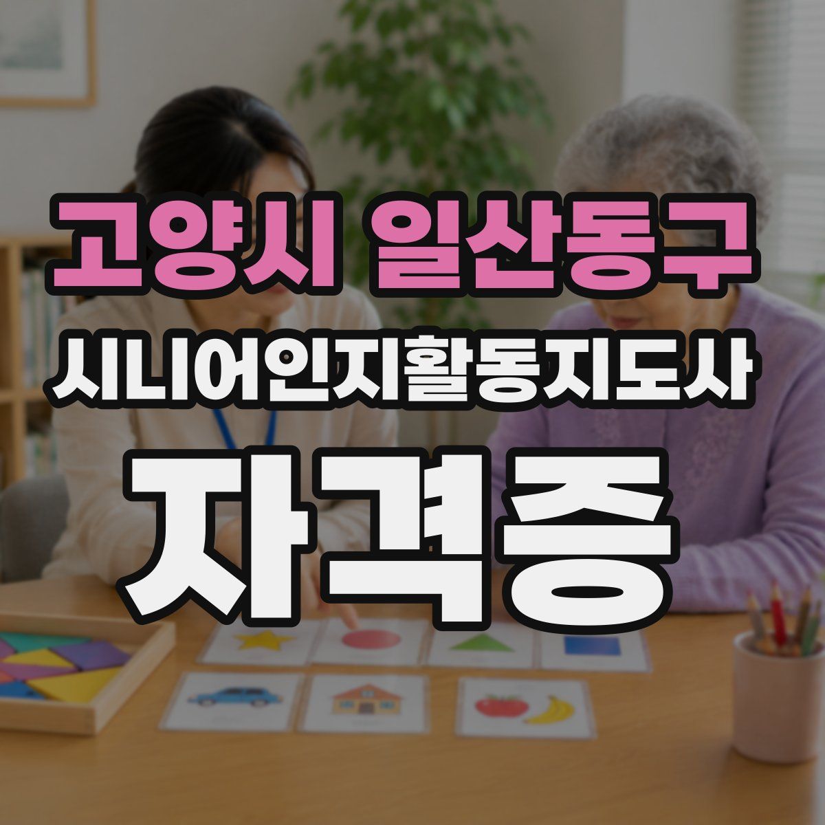 고양시 일산동구 시니어인지활동지도사 자격증