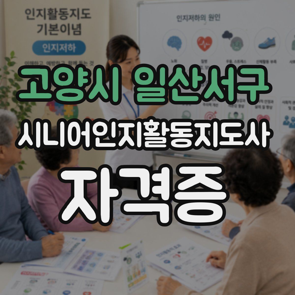 고양시 일산서구 시니어인지활동지도사 자격증
