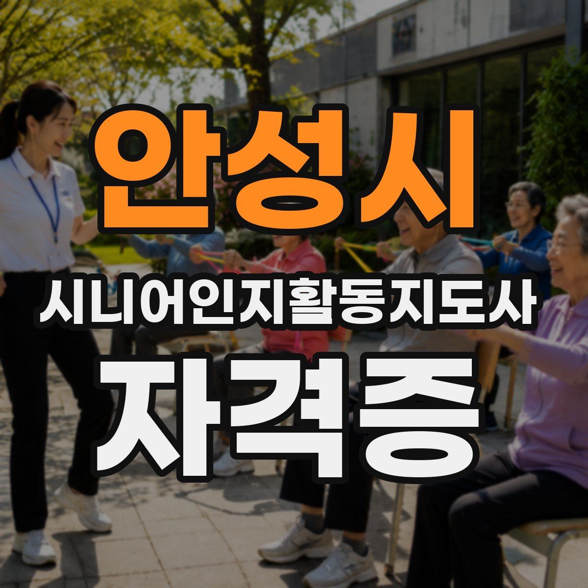 안성시 시니어인지활동지도사 자격증