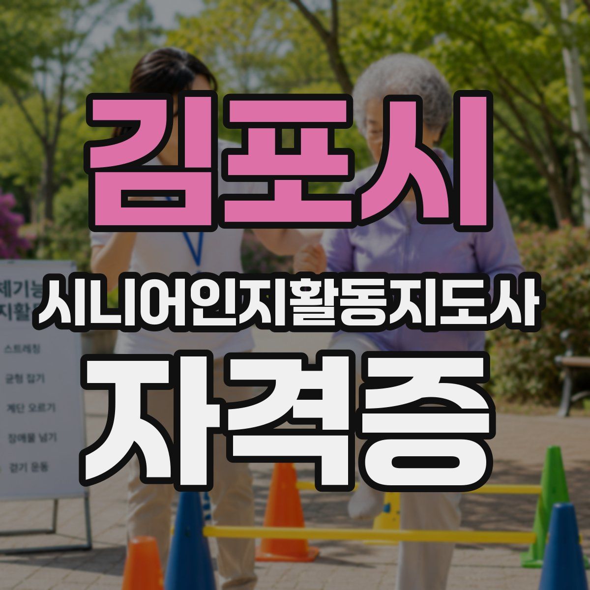 김포시 시니어인지활동지도사 자격증