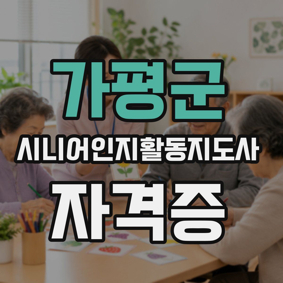 가평군 시니어인지활동지도사 자격증